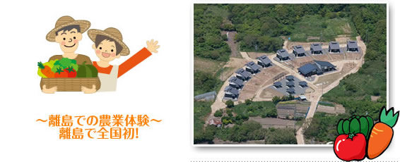 ※募集終了※【あいちの離島】佐久島クラインガルテン利用者募集のお知らせ(1/25申込み〆切) | 地方暮らしのススメ