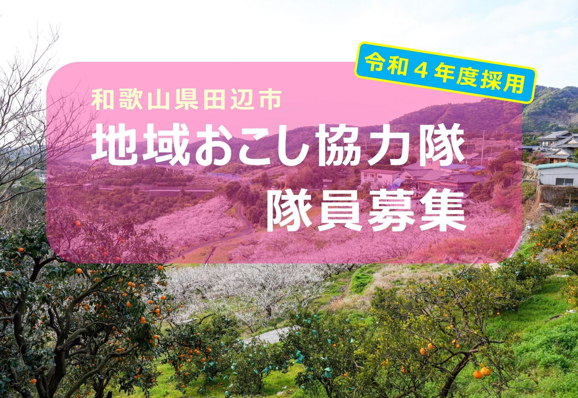 田辺市｜地域おこし協力隊【農業】（再募集） | 移住関連イベント情報