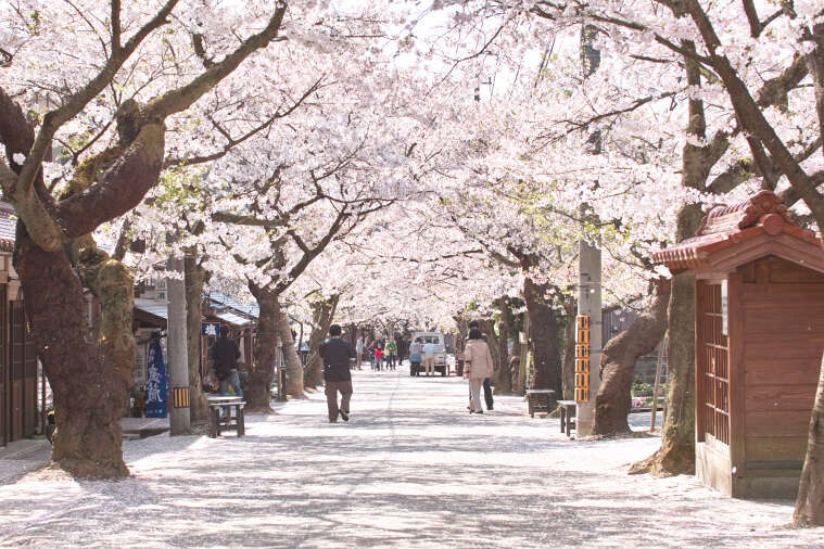 【新庄村】地域おこし協力隊【農業・木工】 | 地域のトピックス