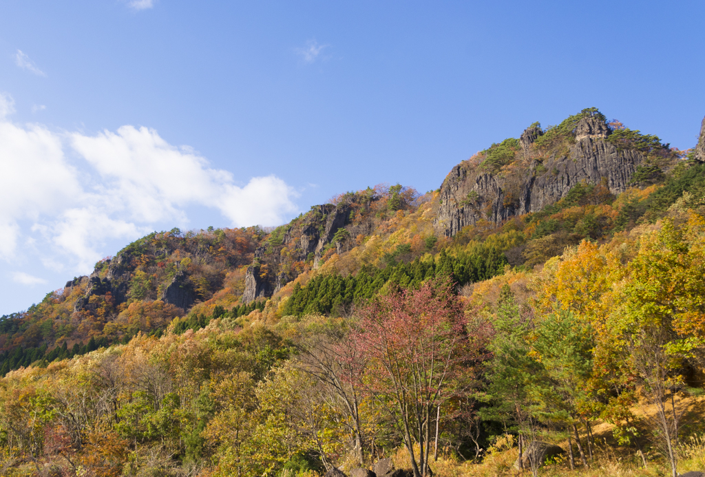 福島県伊達市 林業に従事する「地域おこし支援員」募集 ! | 地域のトピックス