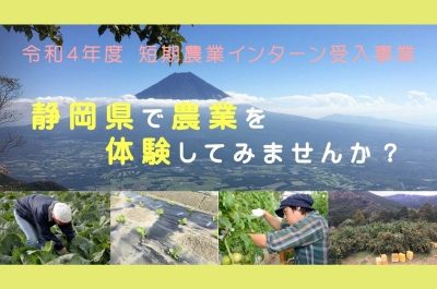 【農業を始めたいあなたへ】まずは静岡県で体験しませんか？ | 地域のトピックス