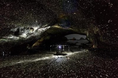 【種子島・南種子町】地域おこし協力隊（種子島宇宙芸術祭関係）募集 | 移住関連イベント情報