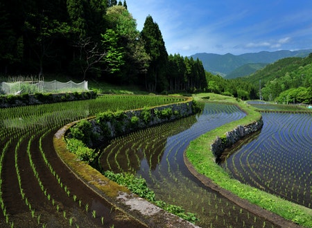 大好評!智頭町に住んでいる移住者さんの暮らしの様子 | 地域のトピックス