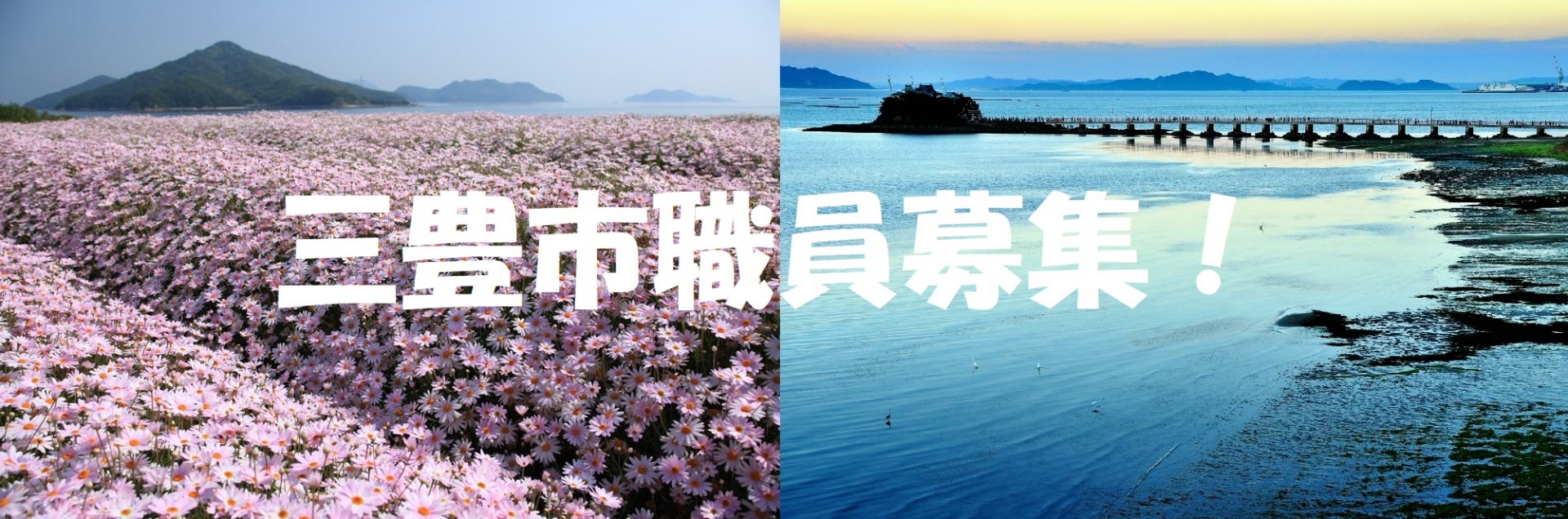 三豊市が職員を募集中です! | 地域のトピックス