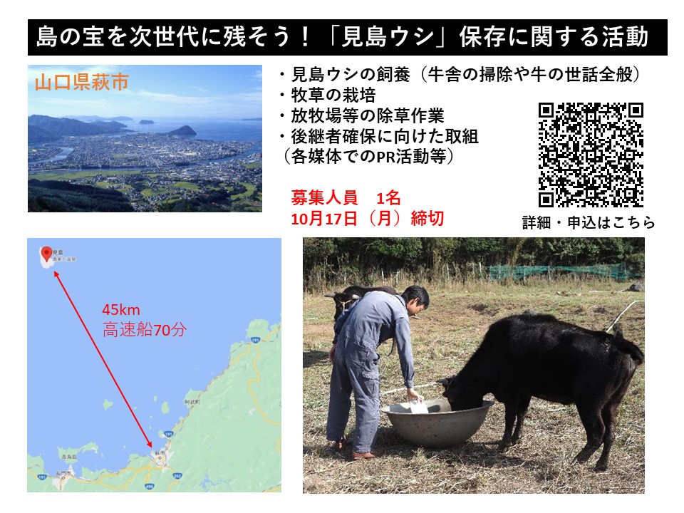 【萩市】島の宝を次世代に残そう!「見島ウシ」保存に関する活動〈地域おこし協力隊〉 | 移住関連イベント情報