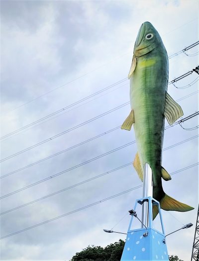 180度パノラマの大自然・最上地域 ~出張に行ってきました!~その3 | 地域のトピックス