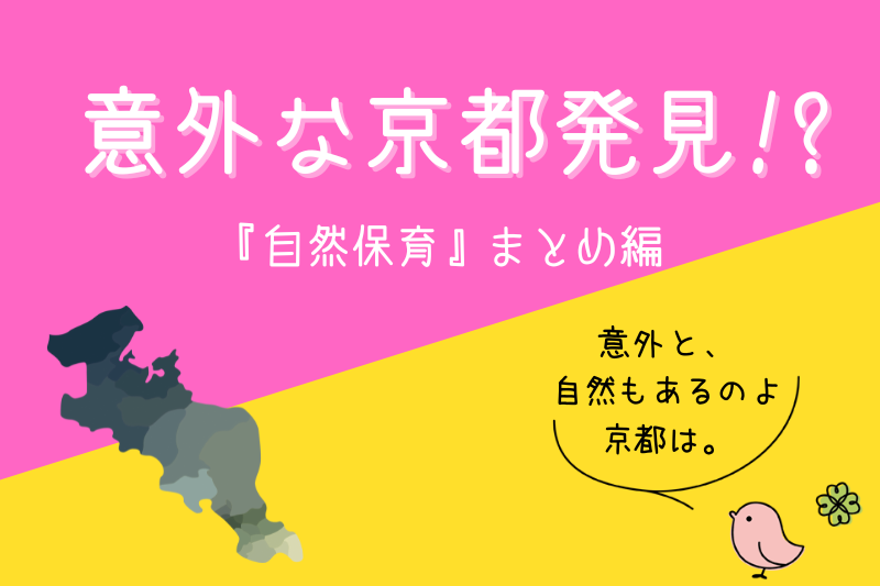 意外な京都発見!?『自然保育』まとめ(紹介動画付き♪) | 地域のトピックス