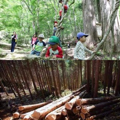 【イベントレポート】林業と森林の癒やしセミナーを開催しました！ | 地域のトピックス