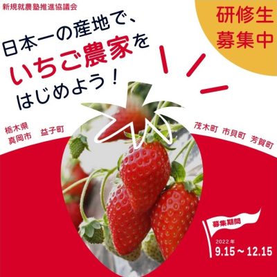 【真岡市】井頭観光いちご園新規就農塾の研修生を募集！ | 地域のトピックス