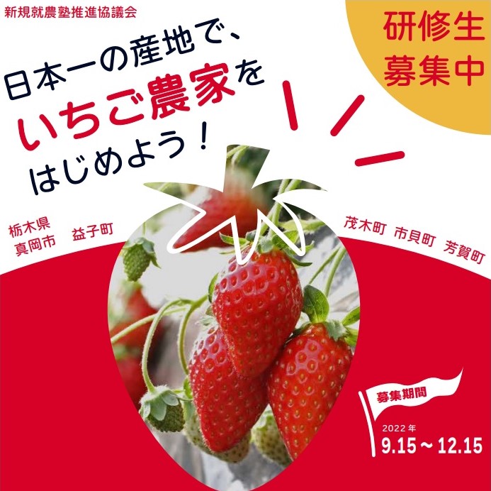 【真岡市】井頭観光いちご園新規就農塾の研修生を募集! | 地域のトピックス