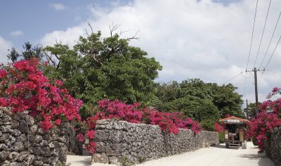 竹富町｜移住・定住に関わる地域おこし協力隊を募集しています | 地域のトピックス