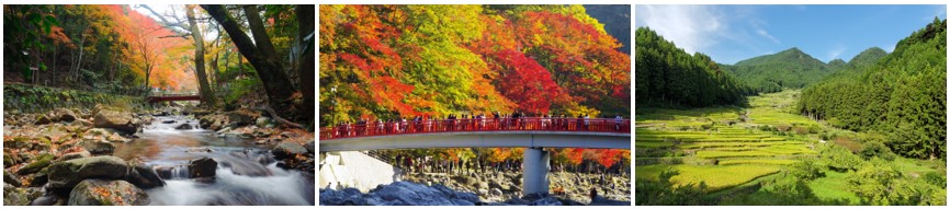 あいちの山里&amp;離島Day～暮らしたい！あいちの山里&amp;離島～ ｜移住関連イベント情報｜FURUSATO