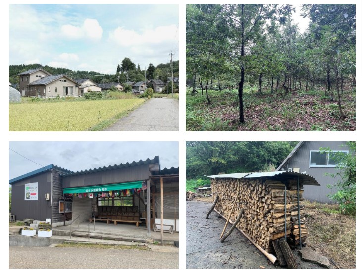 【令和5年度採用】金沢市地域おこし協力隊(自伐型林業) | 移住関連イベント情報