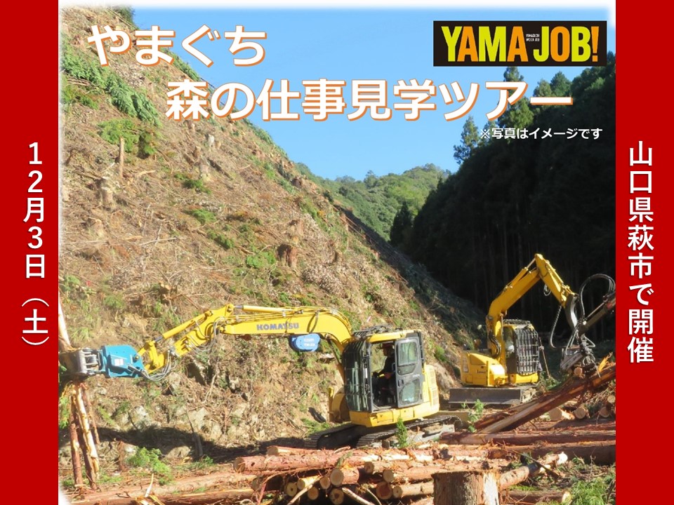 【やまぐちのお仕事】<林業にご関心のみなさまへ>12/3(土)『やまぐち森の仕事見学ツアー』 | 地域のトピックス