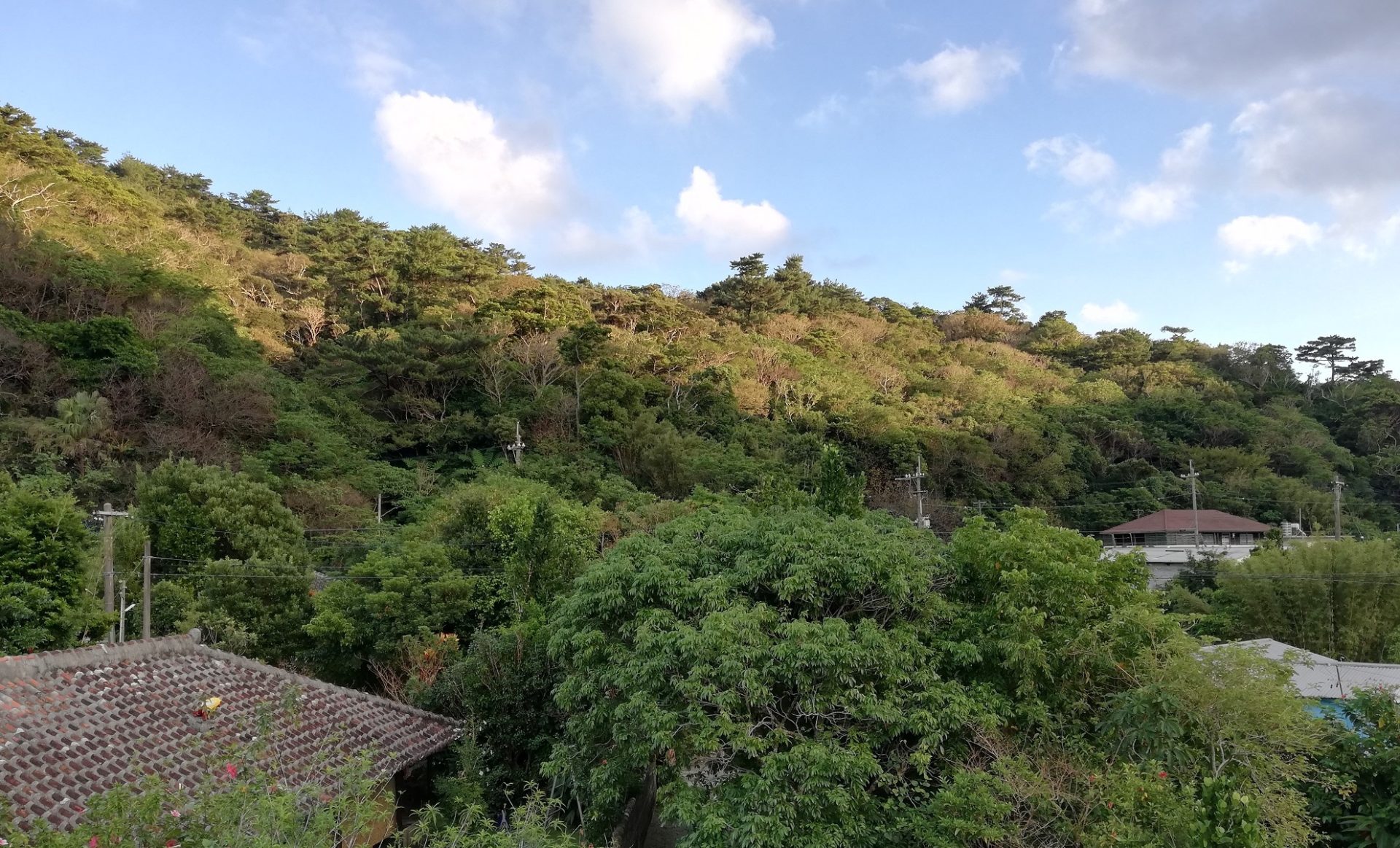 国頭村|お試し期間で移住とその先の定住までを検討できる「地域おこし協力隊インターン」を募集します。 | 地域のトピックス