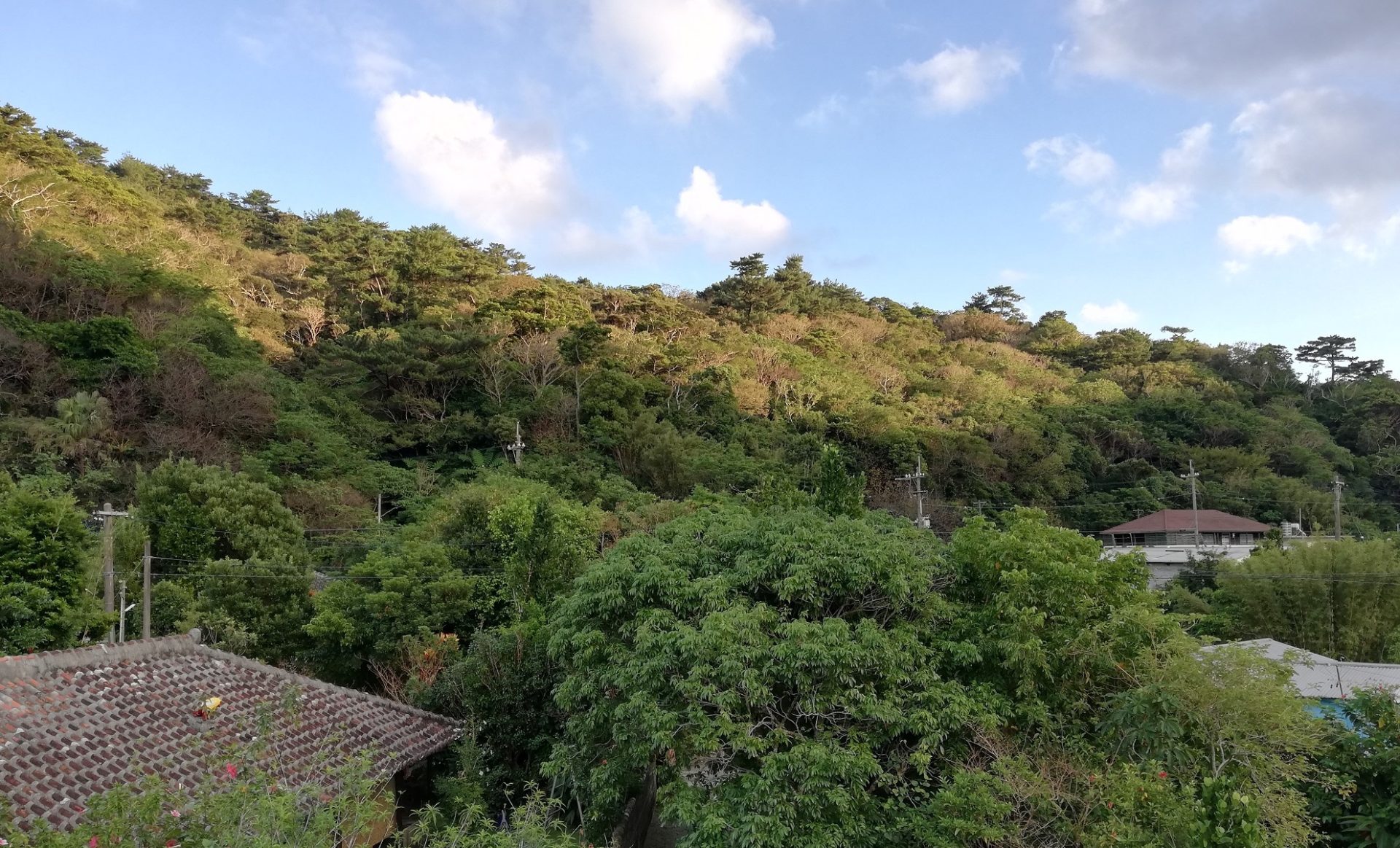 国頭村｜お試し期間で移住とその先の定住までを検討できる「地域おこし協力隊インターン」を募集します。 | 地域のトピックス