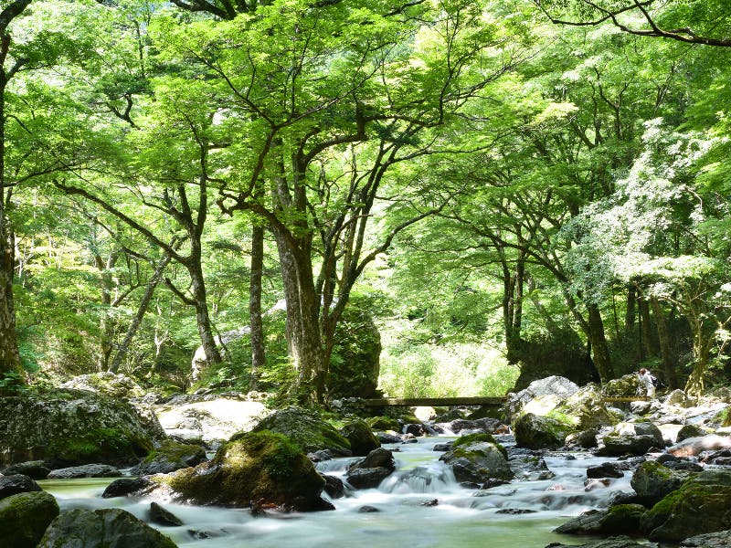 小田深山渓谷