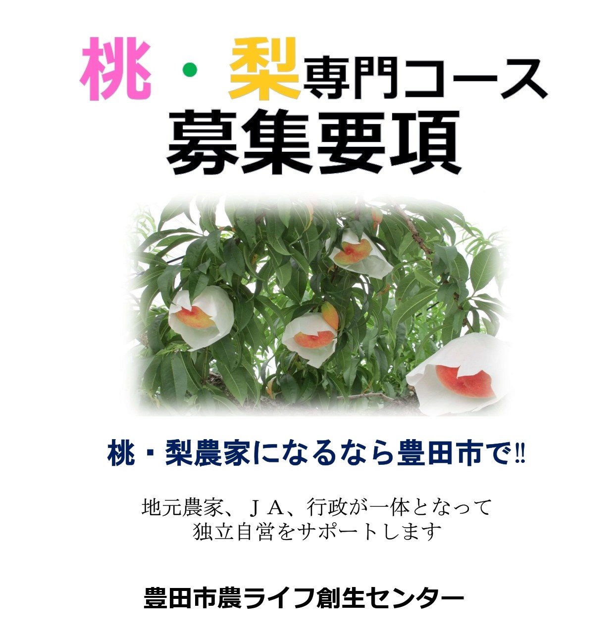 豊田市・農ライフ創生センター研修生募集（桃・梨専門コース）〆切12/23必着 | 地域のトピックス