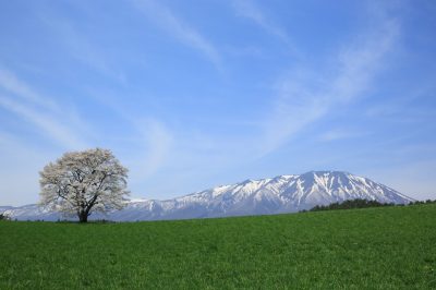 雫石町への移住を体験できる「お試し住居」の申請方法を解説！ | 地域のトピックス