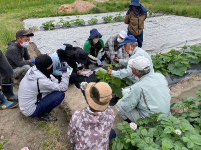 豊田市・農ライフ創生センター研修生募集（担い手づくりコース）〆切:令和5年1月20日必着 | 地域のトピックス