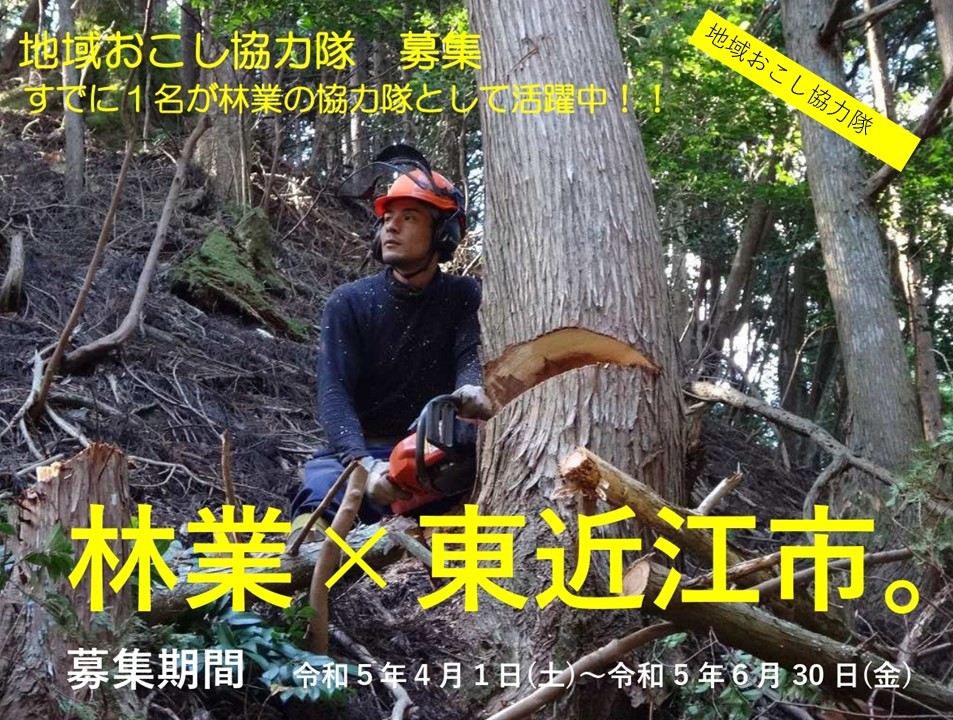 林業×東近江市 地域おこし協力隊募集中 | 地域のトピックス
