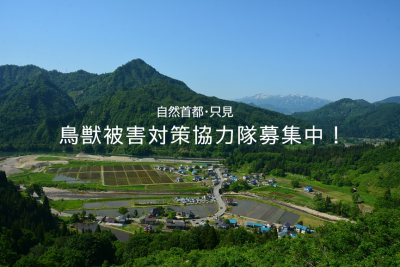 【地域おこし協力隊募集】“自然首都・只見”で「人と自然の共生」を目指す！鳥獣被害対策協力隊を募集 | 地域のトピックス