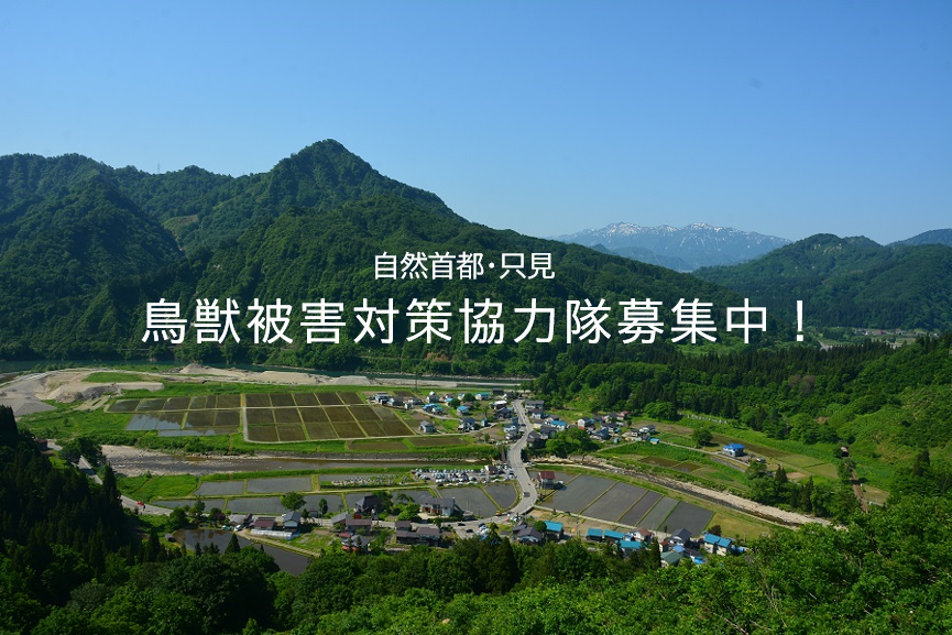 【地域おこし協力隊募集】“自然首都・只見”で「人と自然の共生」を目指す!鳥獣被害対策協力隊を募集 | 地域のトピックス