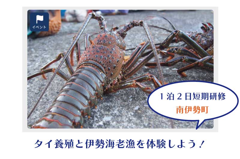 南伊勢漁師塾×TRITON SCHOOL -タイ養殖&伊勢海老編- | 移住関連イベント情報