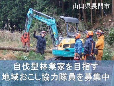 【山口ではたらく】『自伐型林業家を目指す方募集』2023年1月31日締切＜長門市地域おこし協力隊募集＞ | 地域のトピックス