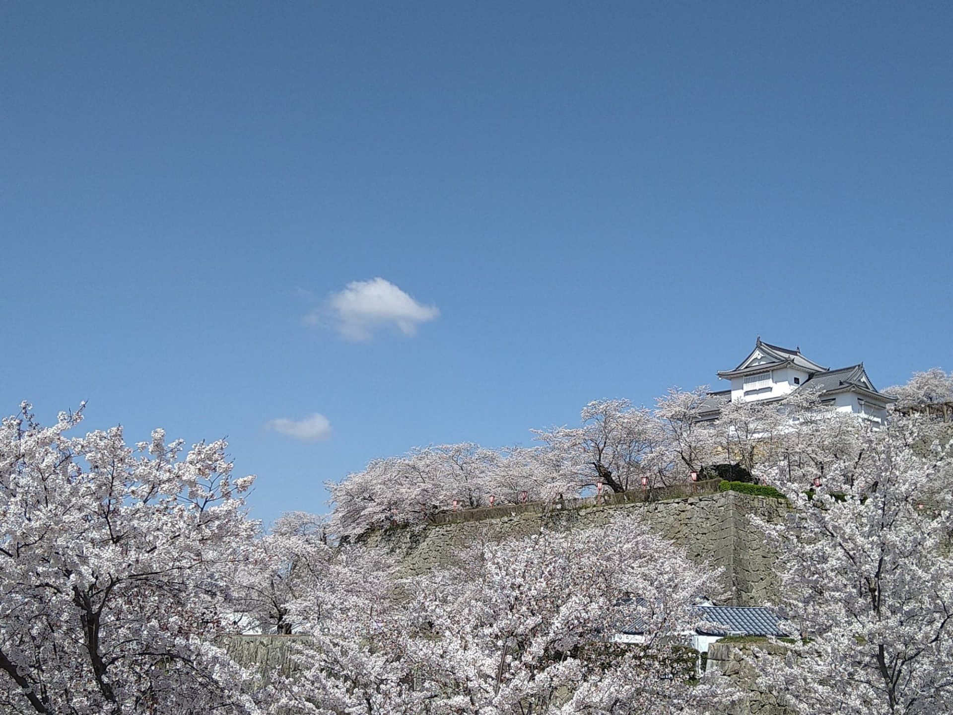 【津山市】地域おこし協力隊募集! | 地域のトピックス