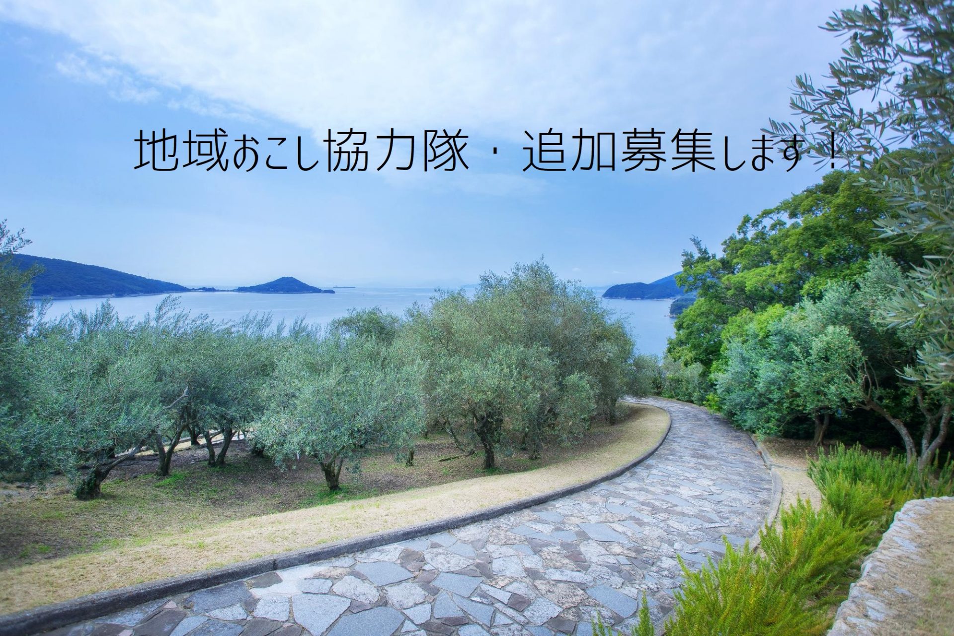 小豆島町 地域おこし協力隊 1名追加募集! | 地域のトピックス