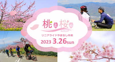 桃と桜のサイクリング　リニアライドやまなし中央 | 地域のトピックス