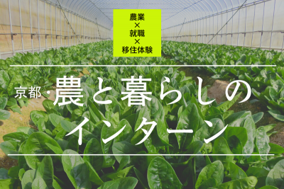 【農業×就職×移住体験】京都・農と暮らしのインターン | 移住関連イベント情報