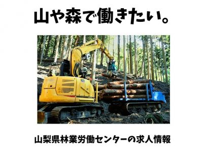 自然と関わる働き方、あります。山梨の林業求人情報 | 地域のトピックス