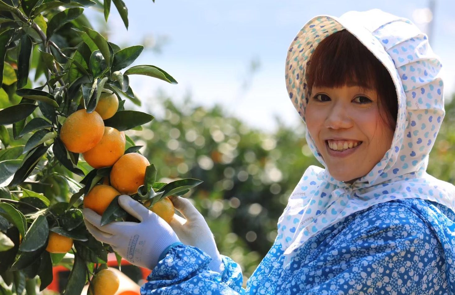 愛媛県で柑橘農家始めました！（第50回毎日農業記録賞 受賞作品） | 移住ストーリー