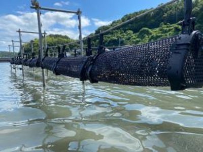 【豊後高田市】地域おこし協力隊を募集します！！－水産業－ | 地域のトピックス