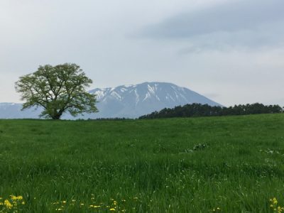 雫石町移住カフェ（移住をお考えのみなさまへ） | 地域のトピックス