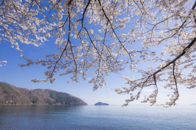 滋賀県の春祭り～4月編～ | 地域のトピックス