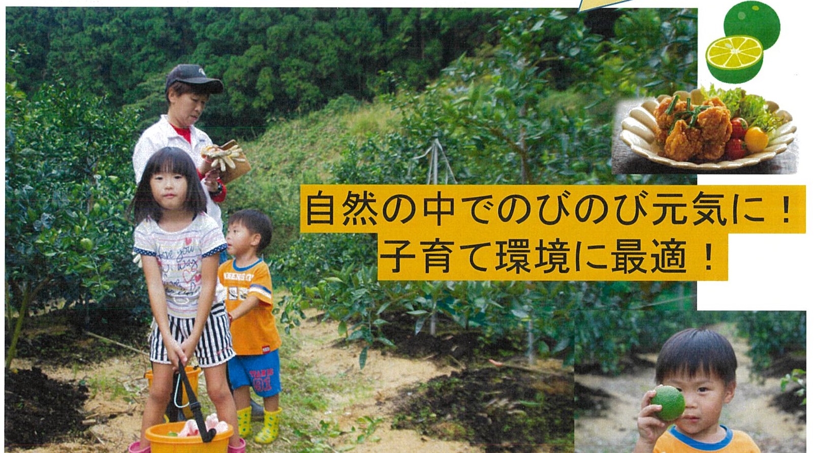 【県庁所在地のとなり村で夏を満喫】佐那河内村・農業体験ツアー | 地域のトピックス