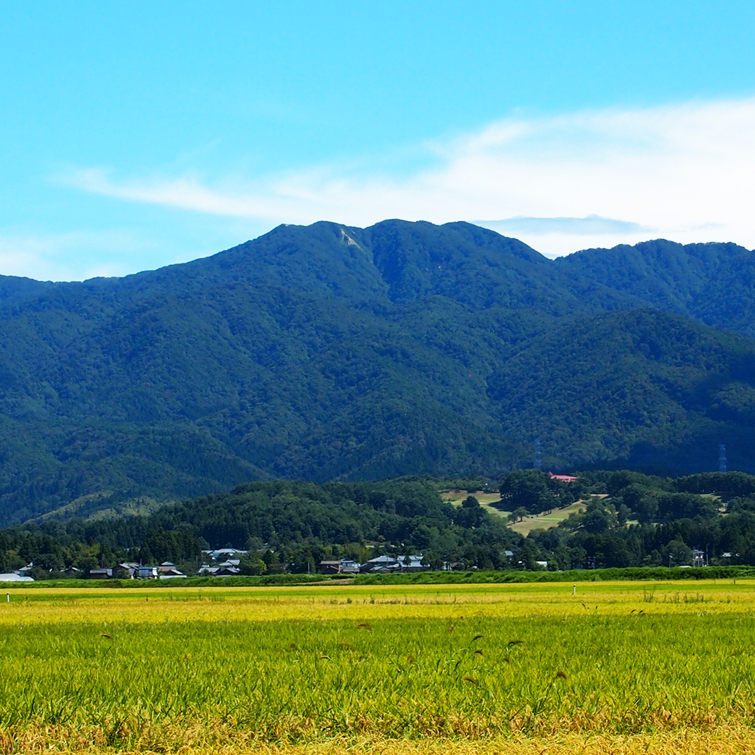 【阿賀野市】就農・移住相談会（5月27日） | 移住関連イベント情報