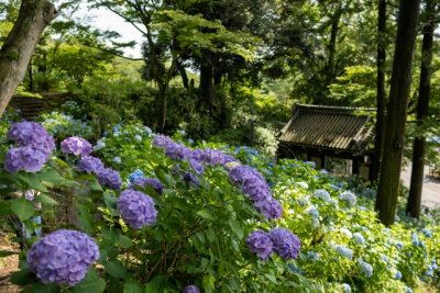 【茨城県桜川市】移住定住促進サイト公開のお知らせ！ | 地域のトピックス