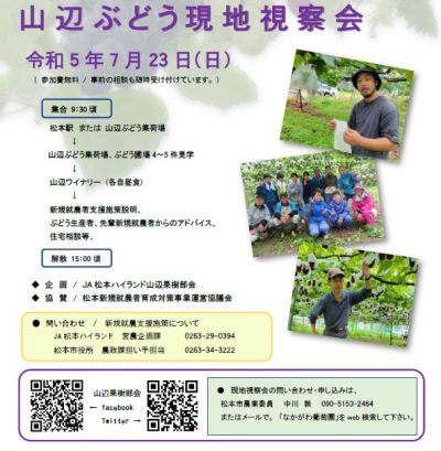 松本市・山辺でぶどう栽培にチャレンジしてみませんか！？山辺ぶどう現地視察会 | 移住関連イベント情報