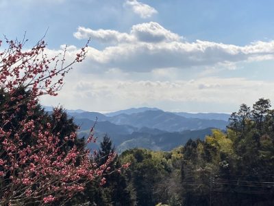 【八女市立花町地域おこし協力隊募集！「道の駅たちばな」での商品開発・情報発信事業 | 地域のトピックス