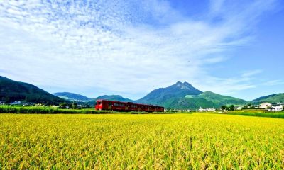 【由布市】令和５年度地域おこし協力隊を募集します！！ | 地域のトピックス