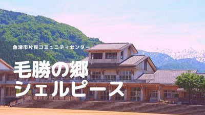 魚津市地域おこし協力隊募集・片貝地区のキーパーソンとなるツアーガイドを目指そう！！ | 地域のトピックス