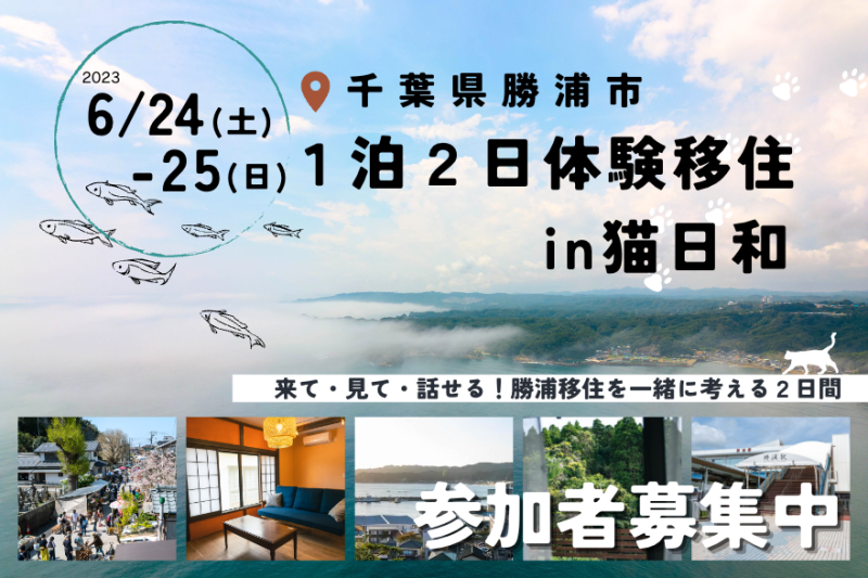 【申込〆切6/15(木)】1泊2日の勝浦市体験移住、参加者募集中!【シェアハウス「猫日和」】 | 移住関連イベント情報