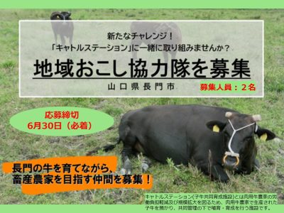 【山口県長門市】\\牛が大好きなひと// 求む！長門和牛振興事業担当の地域おこし協力隊員募集 | 地域のトピックス