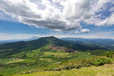 八幡平市地域おこし協力隊募集～農畜産物PR・生産者と消費者の橋渡し～ | 地域のトピックス