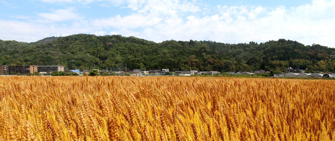 どんなん こんなん えーまち【湖南市】で働きませんか | 地域のトピックス