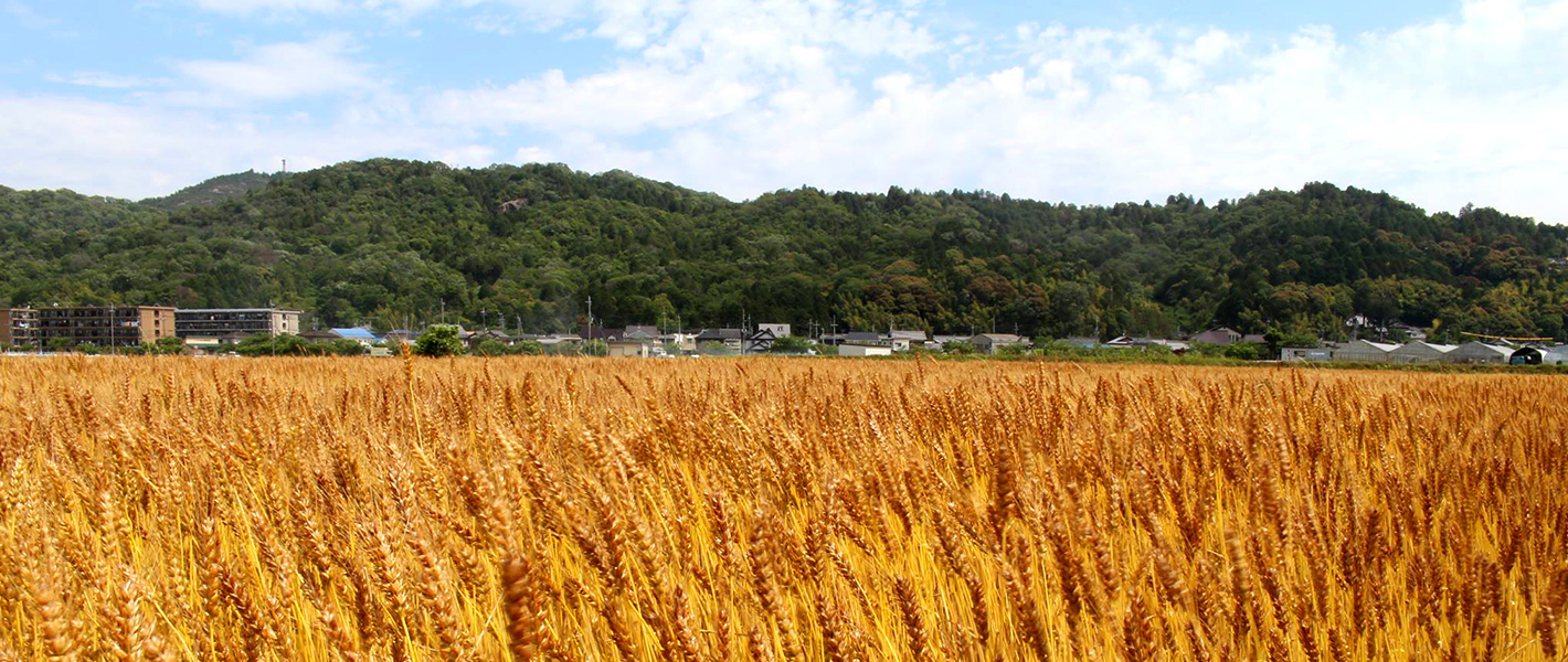 どんなん　こんなん　えーまち【湖南市】で働きませんか　 | 地域のトピックス